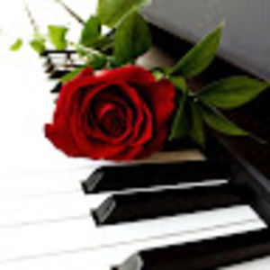 Meet your Posher, Tessila